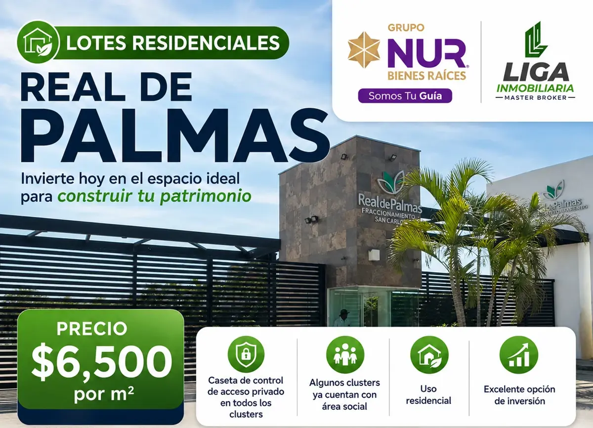 Terreno en venta en San Carlos Real de Palmas, Centro — foto 1 de 2