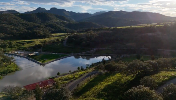Terreno en Bosque  Residencial en venta en Zapopan Norte