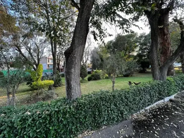 Preciosa casa
Jardines del sur
Xochimilco Preciosa casa
Jardines del sur
Xochimilco