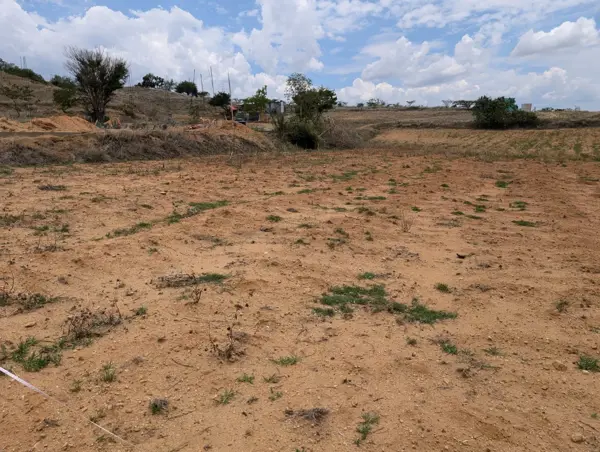 Terreno en venta en El Coquito, Cuilápam de Guerrero — foto 3 de 3