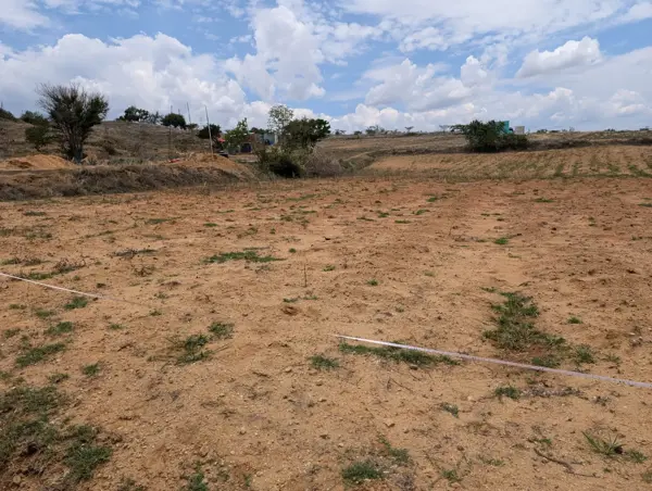 Terreno en venta en El Coquito, Cuilápam de Guerrero — foto 2 de 3