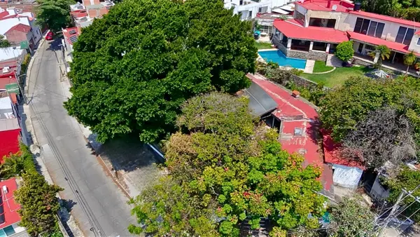 Terreno en venta en Lomas de Cortes, Cuernavaca — foto 3 de 25