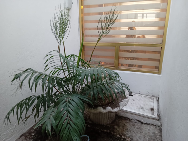 Casa en venta en Sector Popular, Toluca — foto 3 de 19