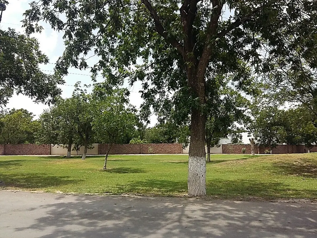 Vista 5 de Terreno en Venta en Las Trojes, Torreón, Coahuila de Zaragoza