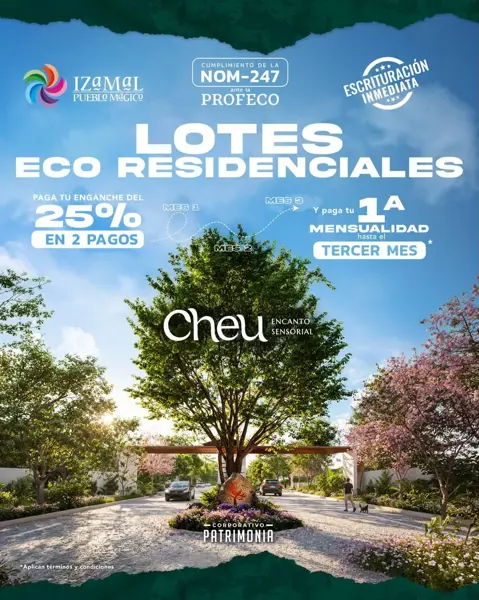 Terreno en venta en Izamal Centro, Izamal — foto 2 de 5
