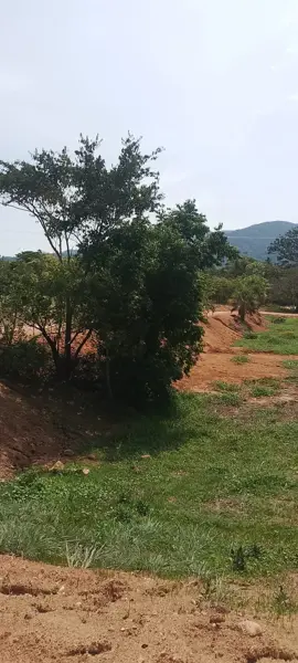 Terreno en venta en El Tuito, Cabo Corrientes — foto 3 de 17