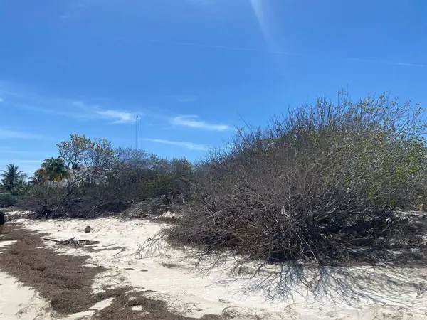 Terreno en venta en Chabihau, Yobaín — foto 3 de 7