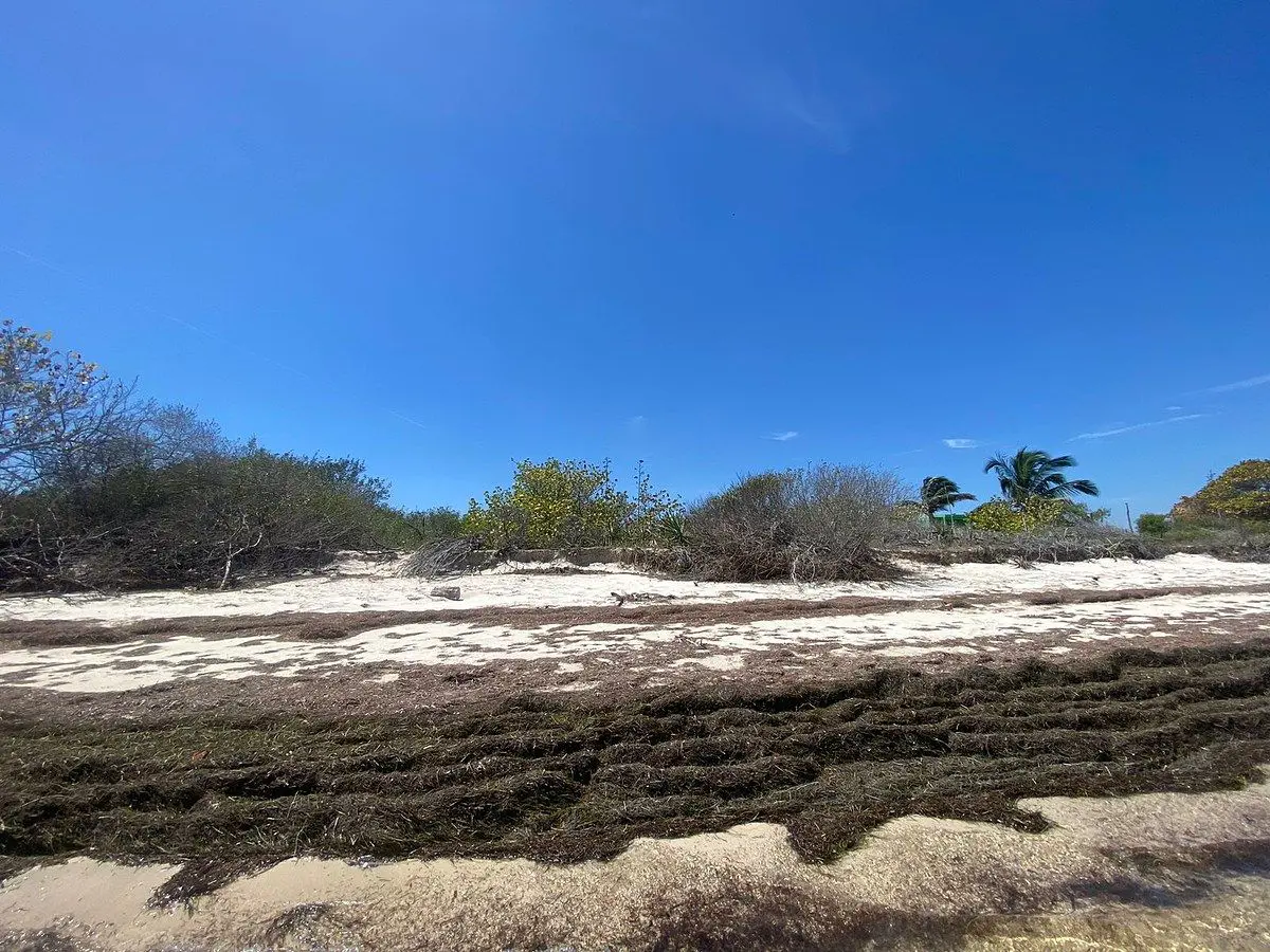 Terreno en venta en Chabihau, Yobaín — foto 1 de 7