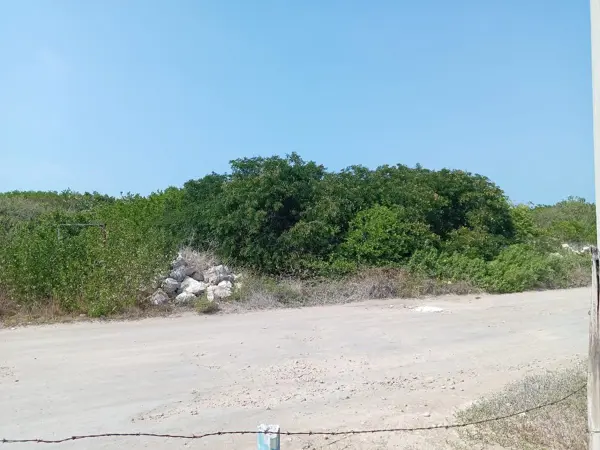 Terreno en venta en Sisal, Hunucmá — foto 3 de 3