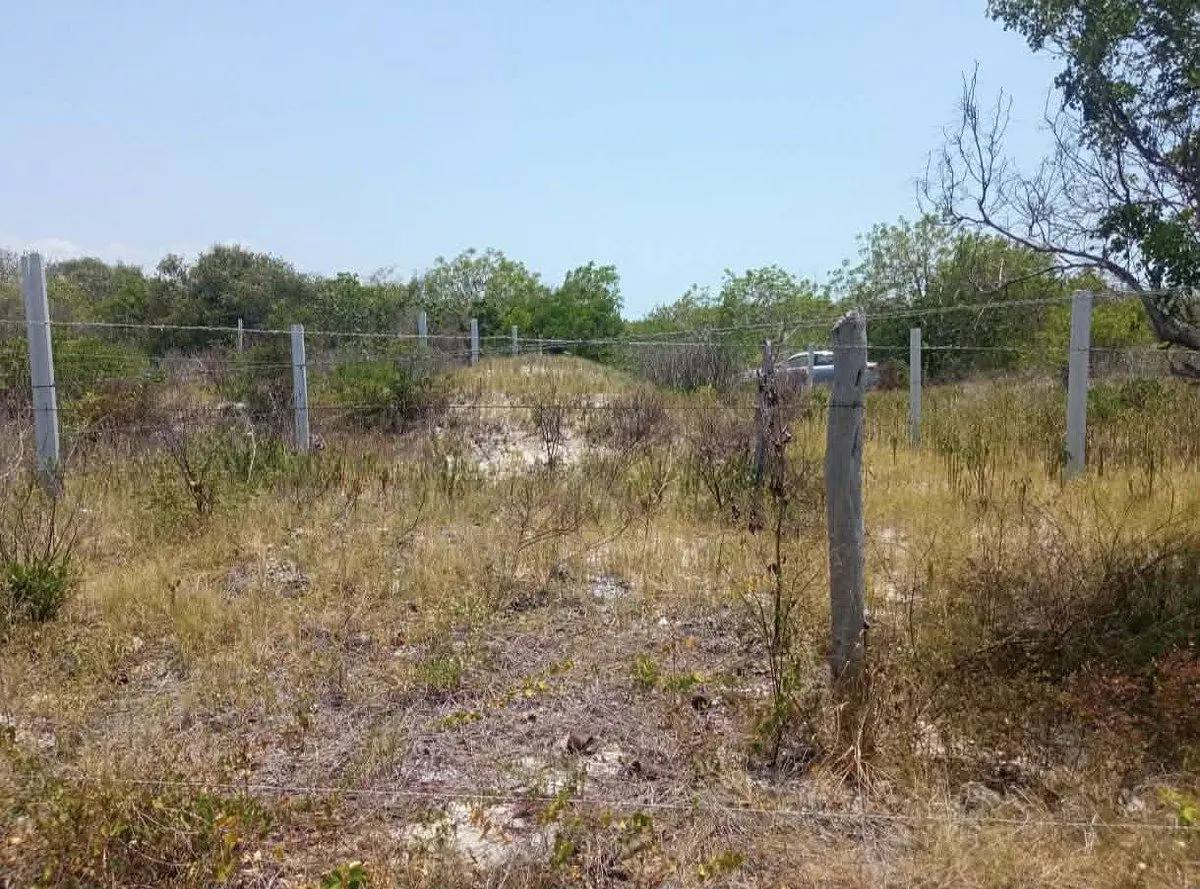Terreno en venta en Celestun, Celestún — foto 1 de 2