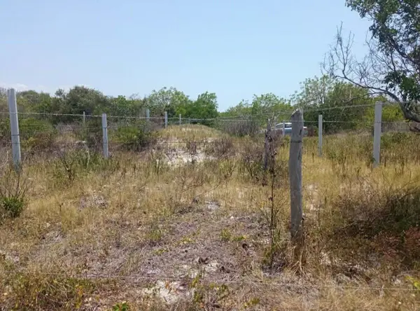 TERRENO EN VENTA EN CELESTUN