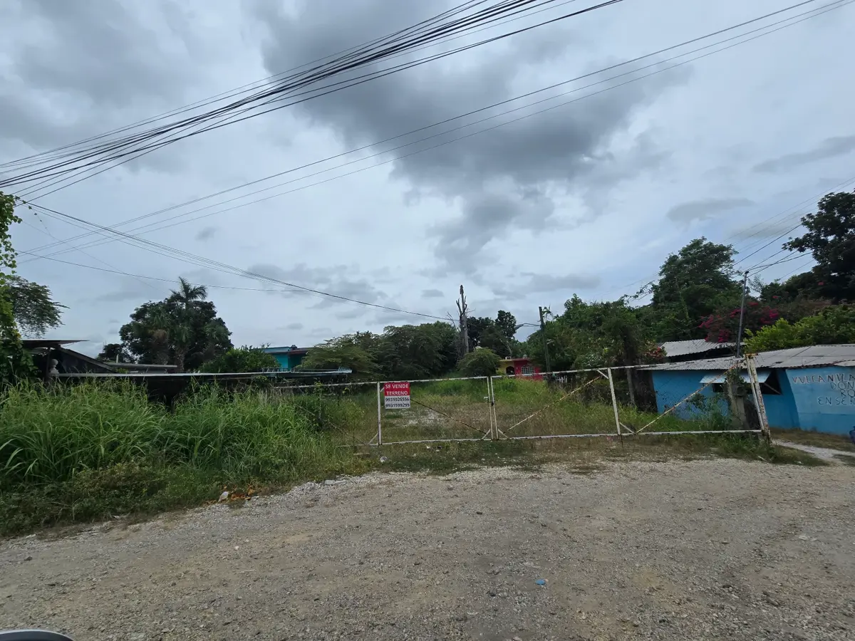 Terreno en venta en Boquerón 1ra. Sección (San Pedro), Centro