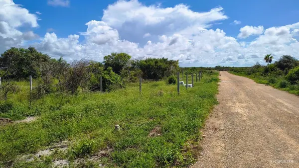 Terreno en venta en San Bruno, Dzemul — foto 2 de 3