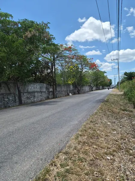 Terreno en renta en Hunucmá, Hunucmá — foto 3 de 7