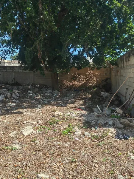 Terreno en venta en San Damian, Mérida — foto 3 de 6