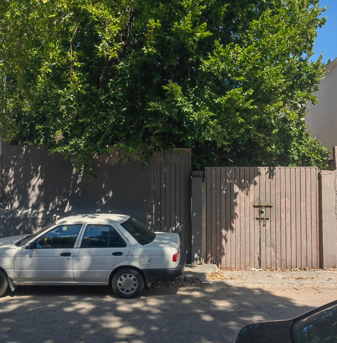 Terreno en venta en San Damian, Mérida — foto 1 de 6