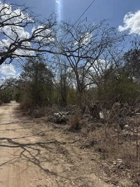 Terreno en venta en Cholul, Mérida — foto 3 de 3