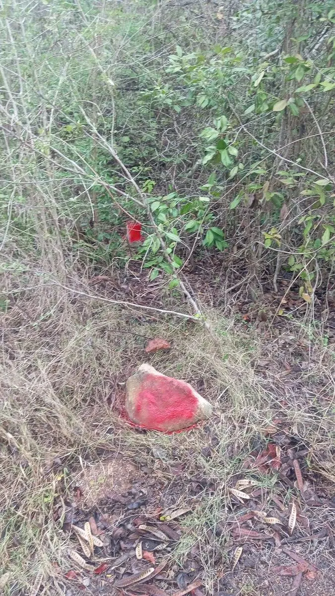 Terreno en venta en Kikteil, Mérida — foto 1 de 3