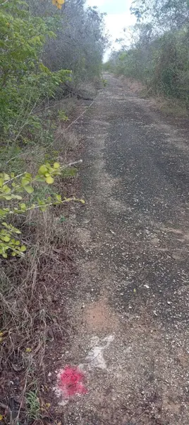 Terreno en venta en Kikteil, Mérida — foto 3 de 3