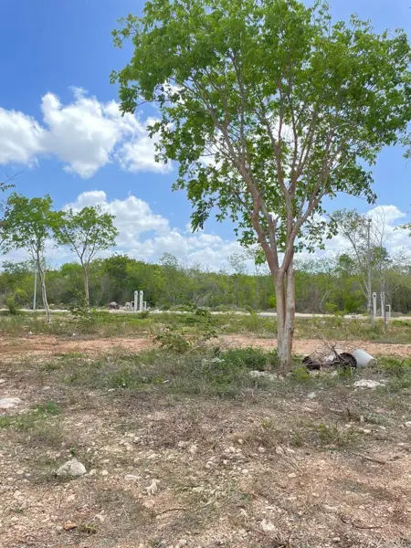 Terreno en venta en Cholul, Mérida — foto 2 de 8