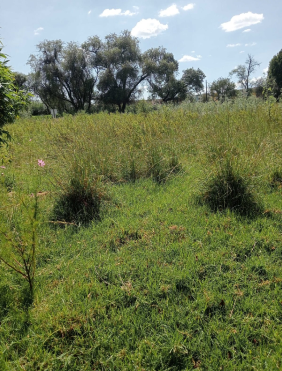 Terreno en venta en San Francisco Ocotlán (Ocotlán), Coronango — foto 1 de 6