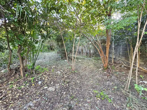 Terreno en venta en Merida Centro, Mérida — foto 3 de 5