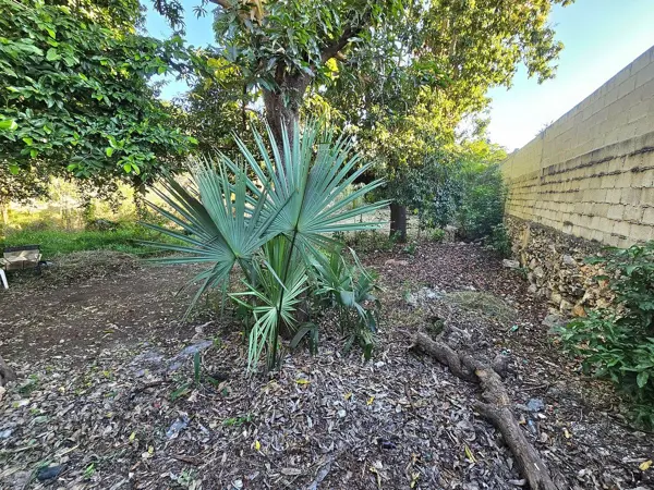 Terreno en venta en Merida Centro, Mérida — foto 2 de 5
