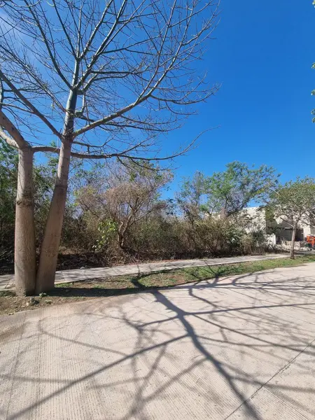 Terreno en venta en Cabo Norte, Mérida — foto 2 de 7
