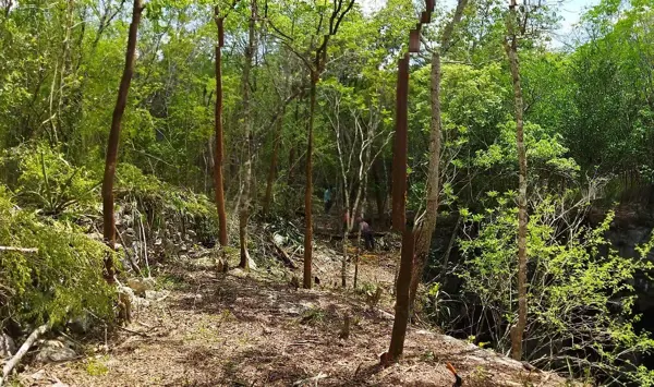 Terreno en venta en Piste, Tinum — foto 3 de 11