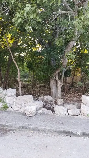 Terreno en venta en Komchen, Mérida — foto 3 de 8