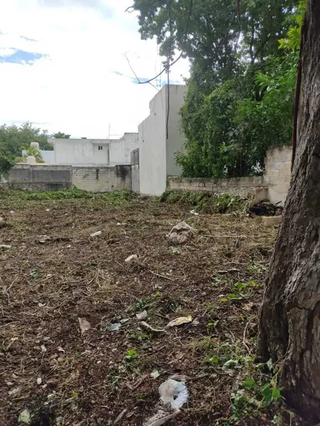 Terreno en venta en Merida Centro, Mérida — foto 2 de 5