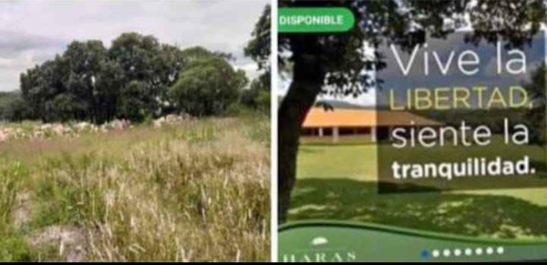 Terreno en venta en Campestre Haras, Amozoc — foto 2 de 8