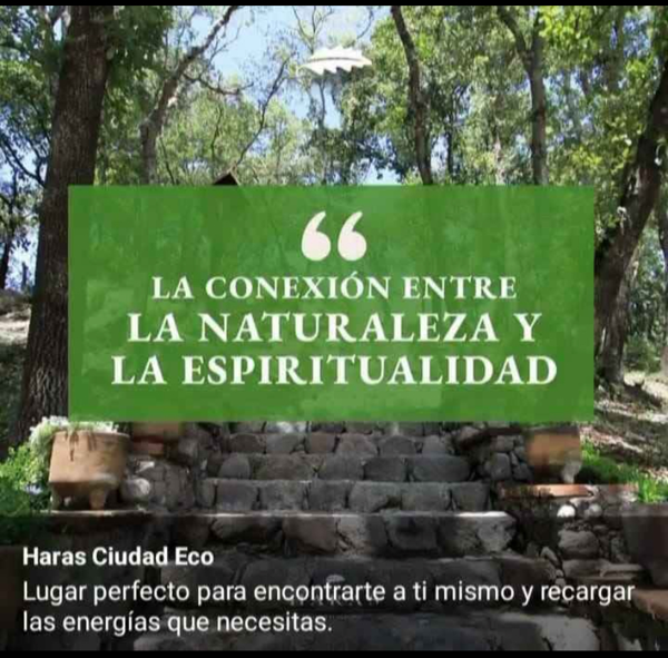 Terreno en venta en Campestre Haras, Amozoc — foto 3 de 8