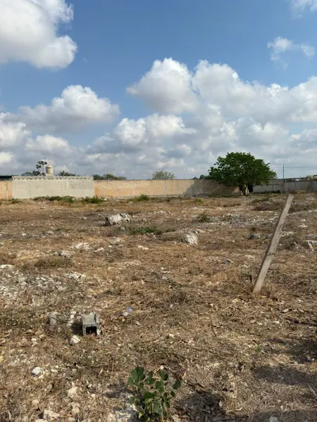 Terreno en venta en Dzitya, Mérida — foto 3 de 4
