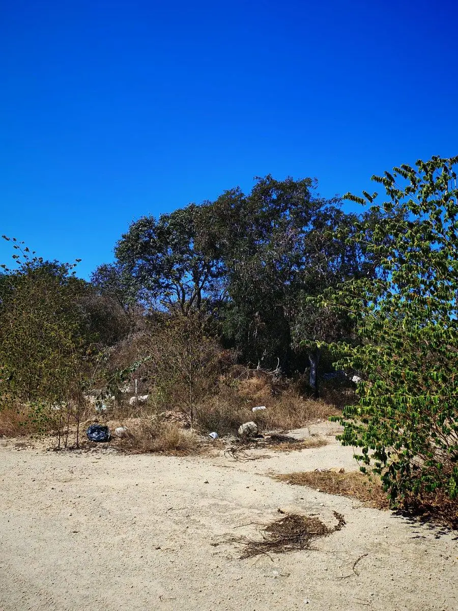 Terreno en venta en Real Montejo, Mérida — foto 1 de 2
