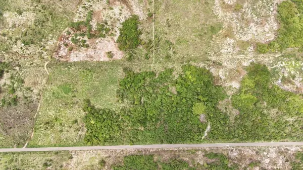 VENTA DE HECTAREAS EN EUAN YUCATÁN