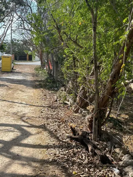 Terreno en venta en Conkal, Conkal — foto 3 de 4