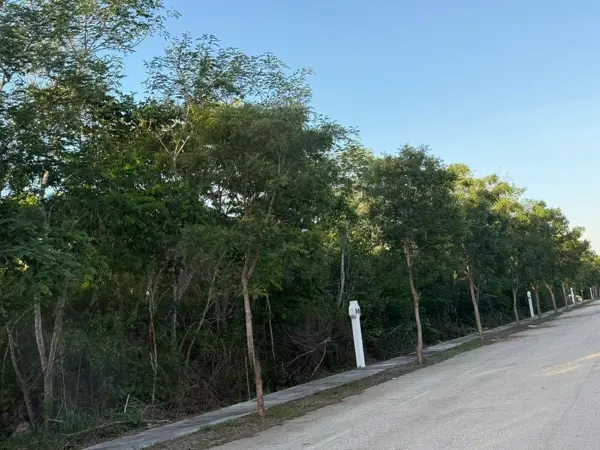 Terreno en venta en Dzidzilche, Mérida — foto 2 de 12