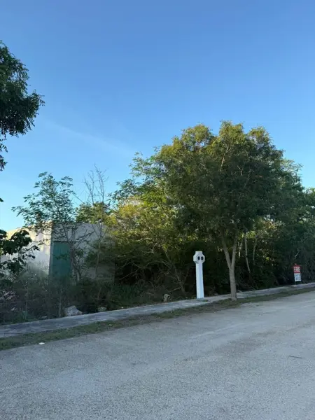 Terreno en venta en Dzidzilche, Mérida — foto 3 de 12
