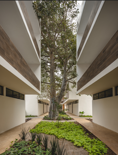 Departamento en venta en Dzitya, Mérida — foto 2 de 17