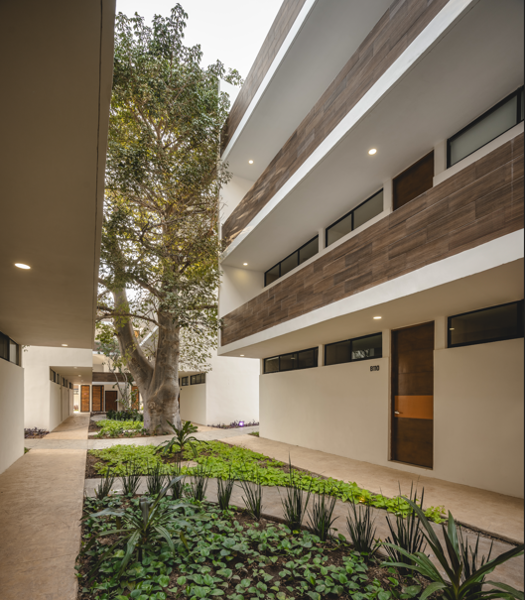 Departamento en venta en Dzitya, Mérida — foto 3 de 17