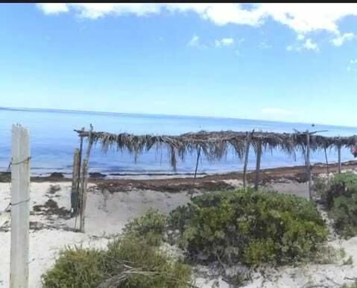Terreno en venta en San Crisanto, Sinanché — foto 1 de 14