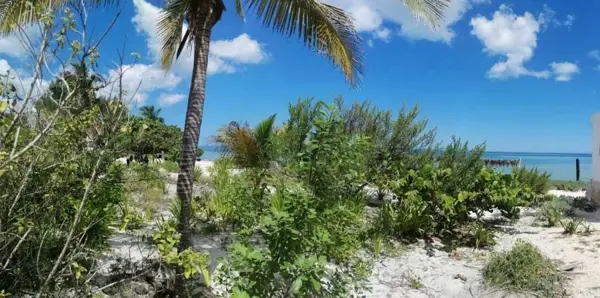 Terreno en venta en San Crisanto, Sinanché — foto 2 de 14