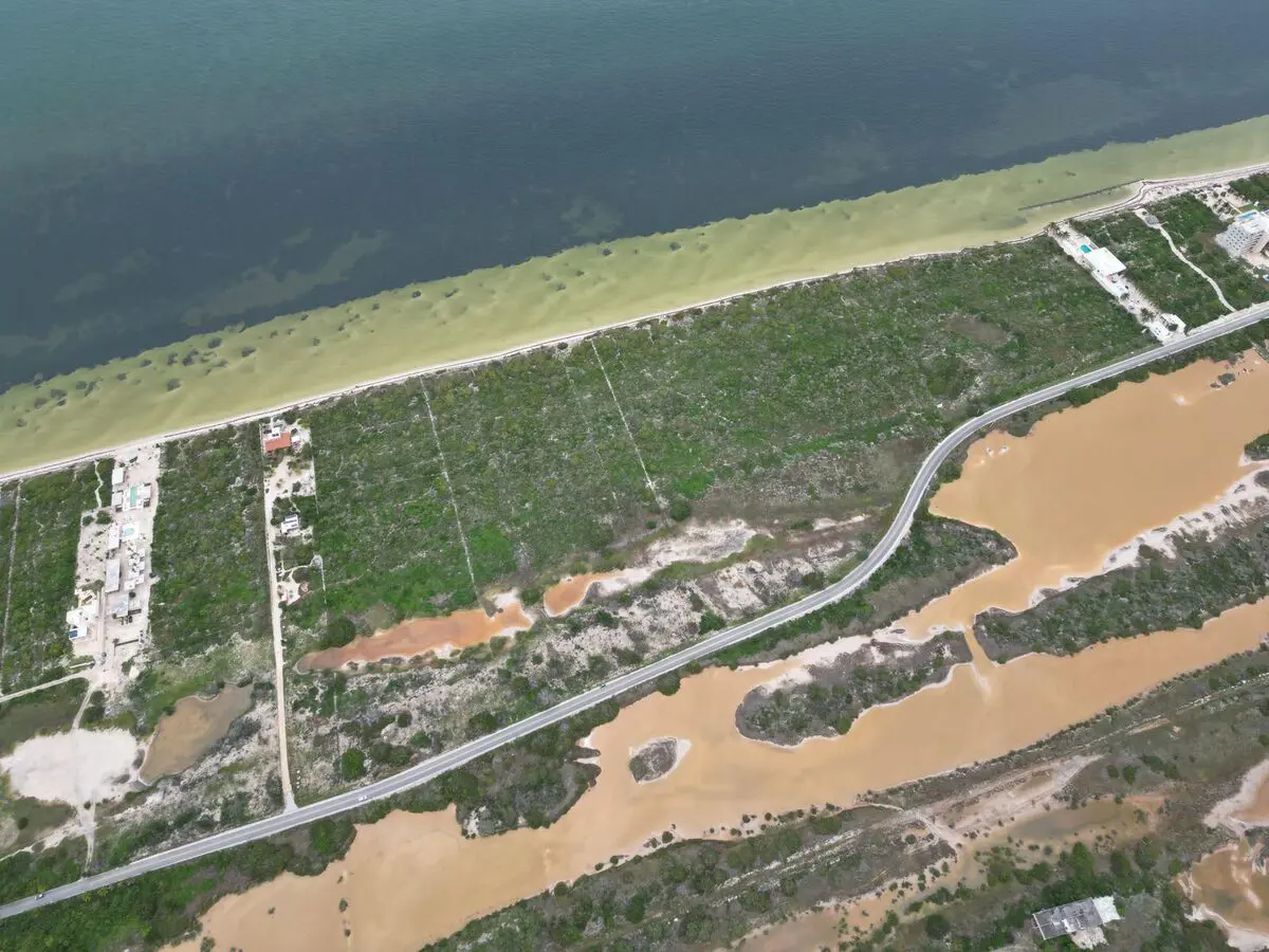 Terreno en venta en San Crisanto, Sinanché — foto 1 de 11