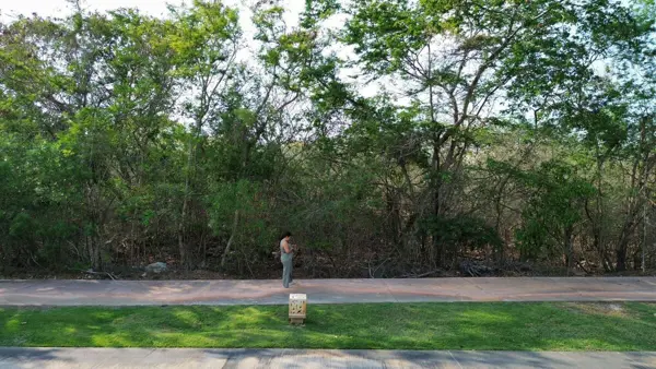 Terreno en venta en Yucatán Country Club, Mérida — foto 3 de 3