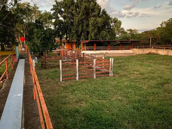Finca-Rancho en venta en Suma, Suma — foto 2 de 17