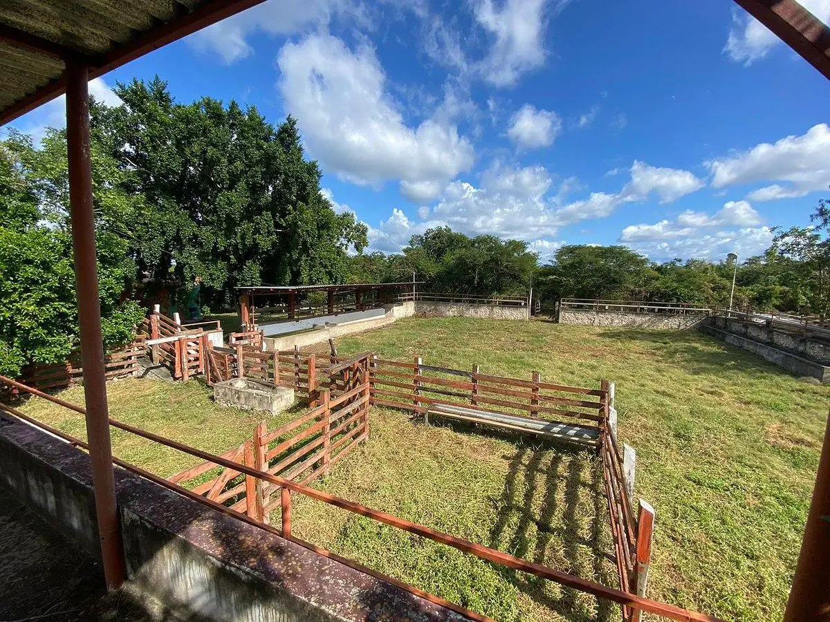 Finca-Rancho en venta en Suma, Suma — foto 1 de 17