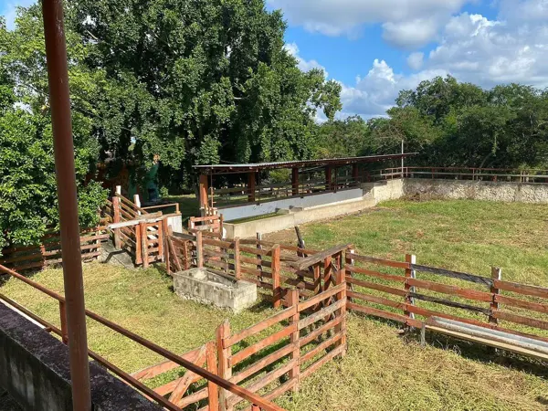 Finca-Rancho en venta en Suma, Suma — foto 3 de 17
