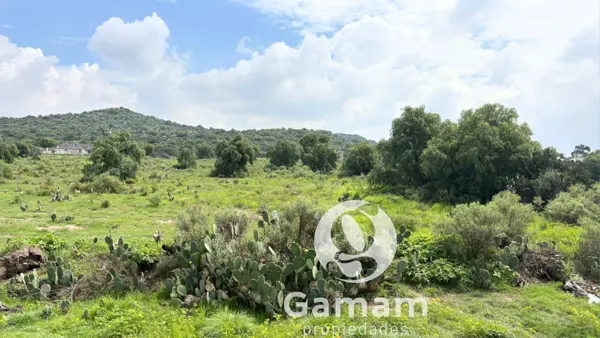 Terreno en venta en Guadalupe Relinas, Axapusco — foto 2 de 15
