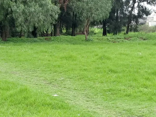 Terreno en venta en Llano de los Báez, Ecatepec de Morelos — foto 2 de 7